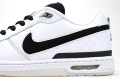Paul Rodriguez Zoom Air Low