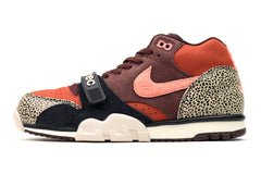 Air Trainer 1 QS (Arts-Rec)