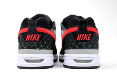 Paul Rodriguez Zoom Air Low