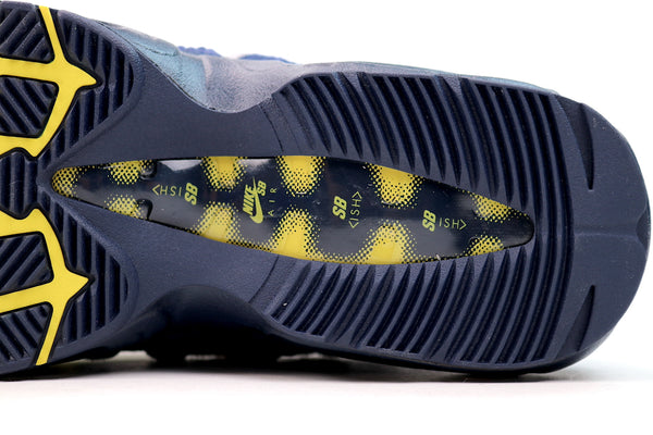 SB Air Max 95 (Koston)