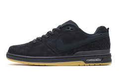 Zoom Air Paul Rodriguez 1