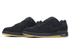 Zoom Air Paul Rodriguez 1