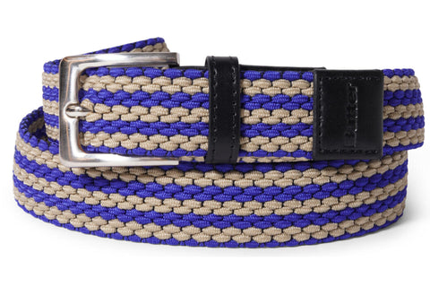 Gradient Web Belt