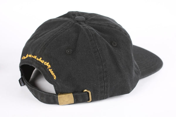 Not What They Seem Hat