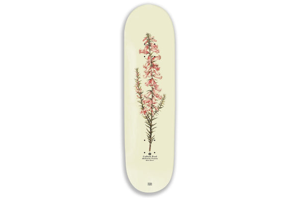 Pink Heath Reissue - 8.25"