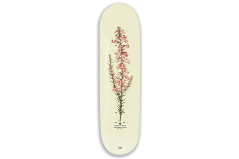 Pink Heath Reissue - 8.25