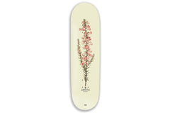 Pink Heath Reissue - 8.25"