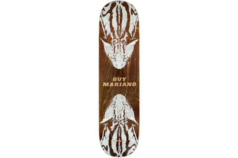 Guy Mariano - Cheetah - 8.25