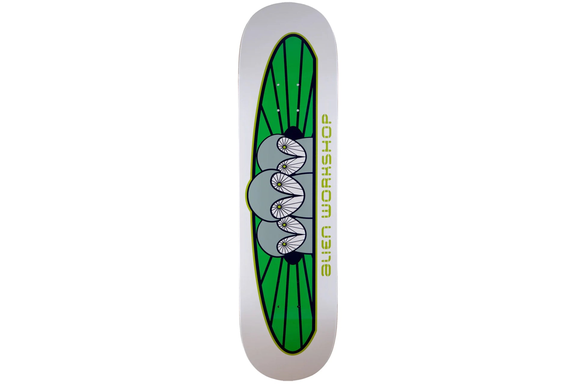 Owliad - 8.25" | 8.5"
