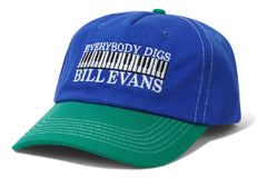 Everybody Digs 6 Panel Cap
