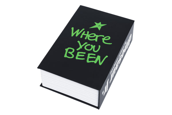 DInosaur Jr. Secret Compartment Book